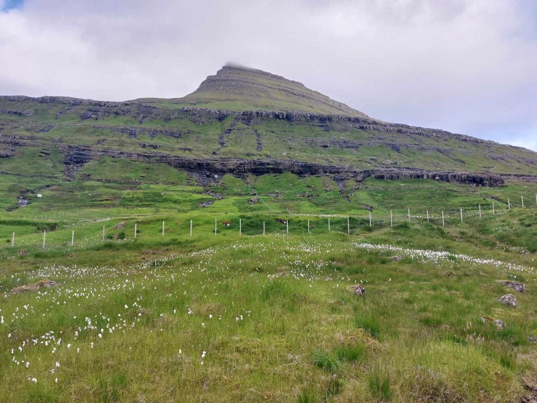 Fjord Guesthouse Funningsfjordur Dış mekan fotoğraf